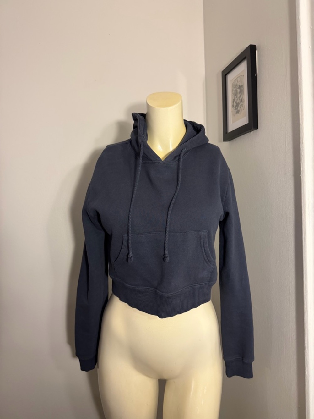 Brandy Melville Cropped Pullover Hoodie Cozy Fleece Lined Navy blue Crop Sweater